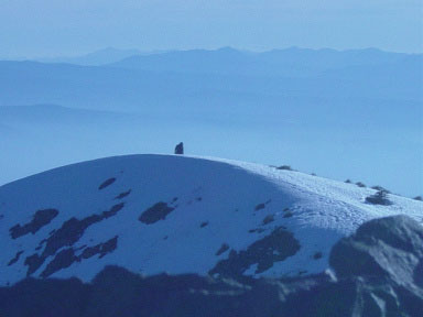 bigfoot_silvermt2.jpg