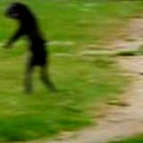 creature_frolida1.jpg