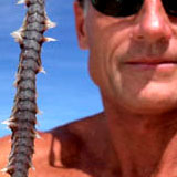 hawaiian_worm0