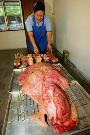 human_bread3.jpg