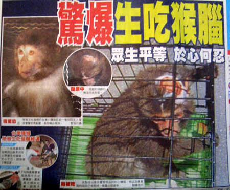 生きたままの猿の脳を食べる