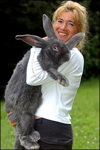monster_rabbit1