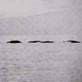 ogopogo2