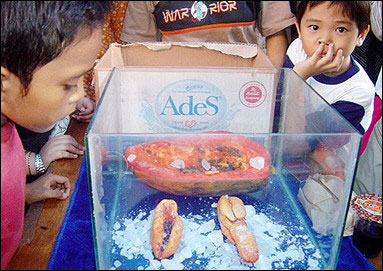 人間の生殖器のようなパパイヤが大人気 インドネシア