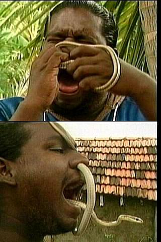 ミミズを30秒に200匹食べてギネス記録 インド