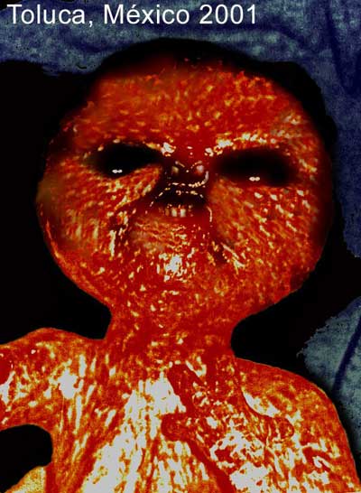 2001年、メキシコで撮影された異星人の死体