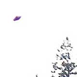 utah_ufo2